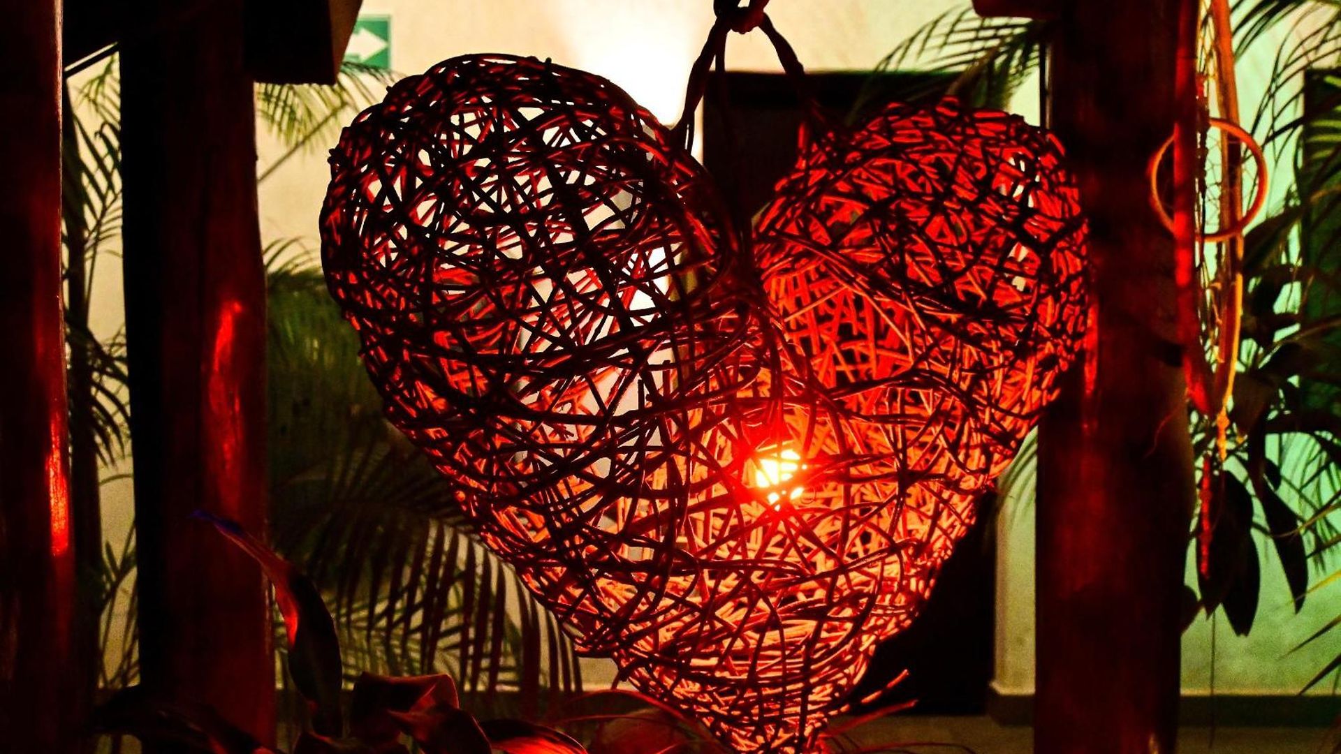 Pacha Boutique 4*