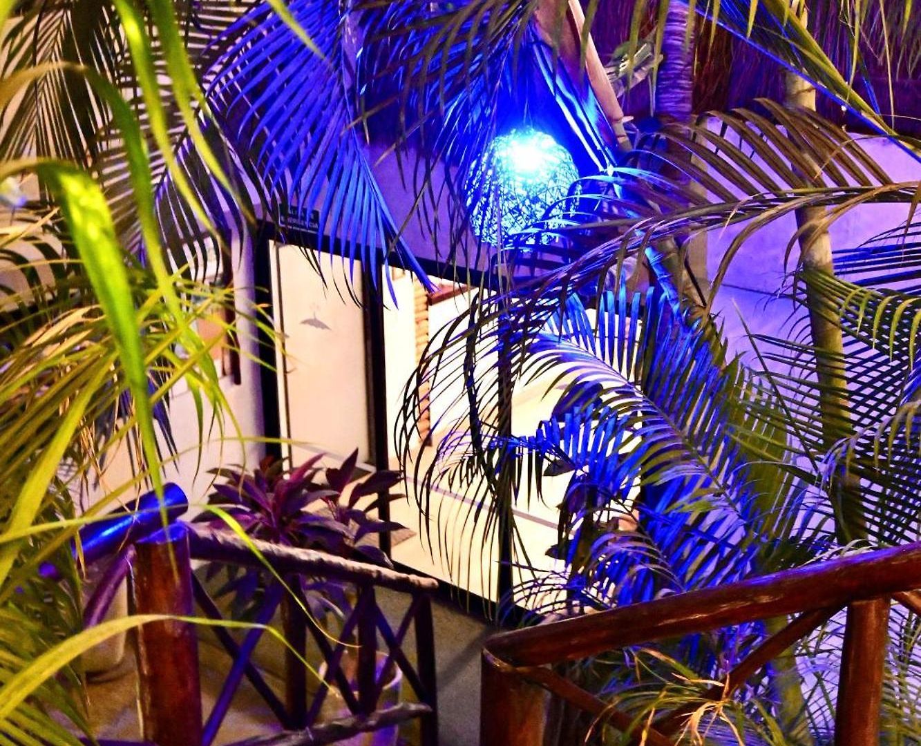 Pacha Boutique Tulum