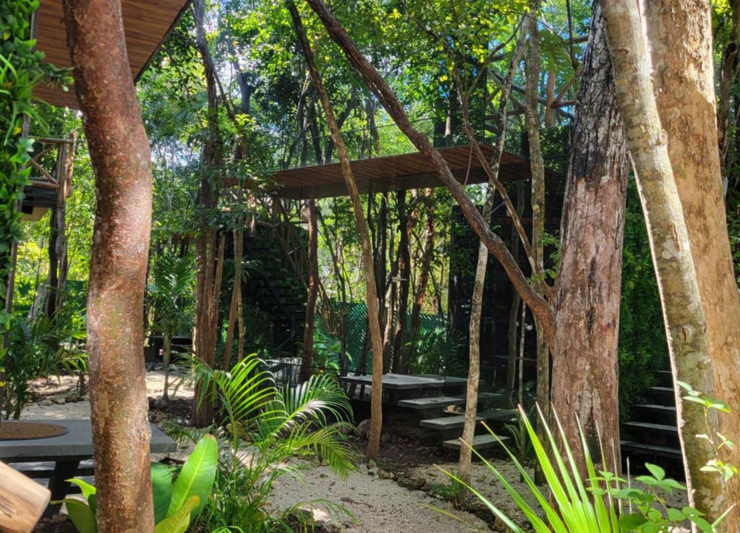 Jungle Treehouse Apartamento *