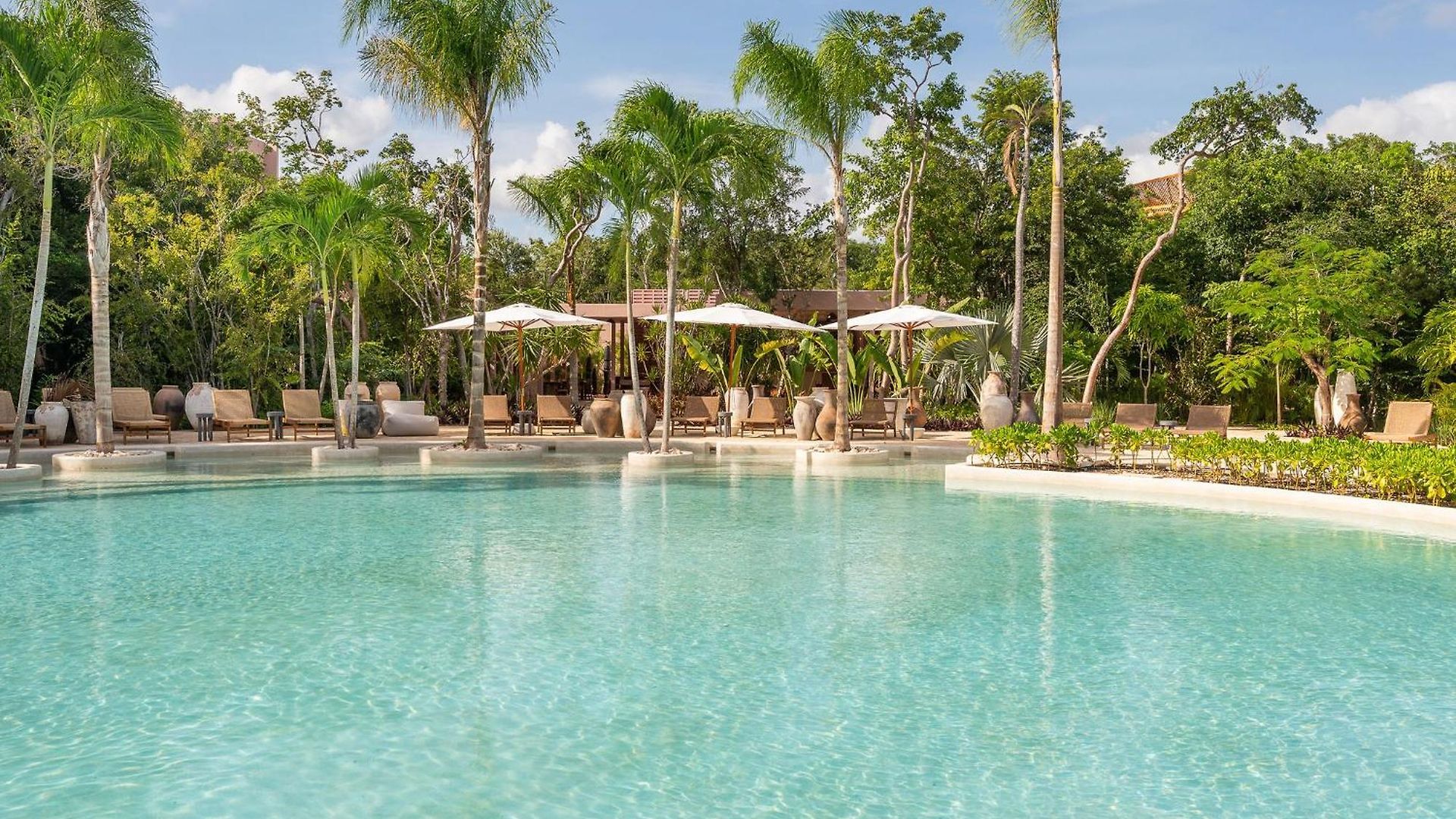 Apartment Amazing 1br Jungle With Restaurant, Pool And Gym