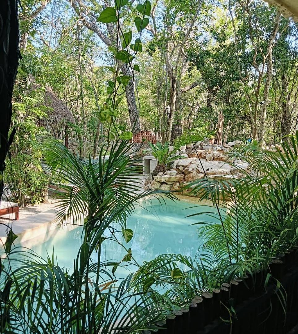 Apartment Agua & Selva Luxury Jungle Loft