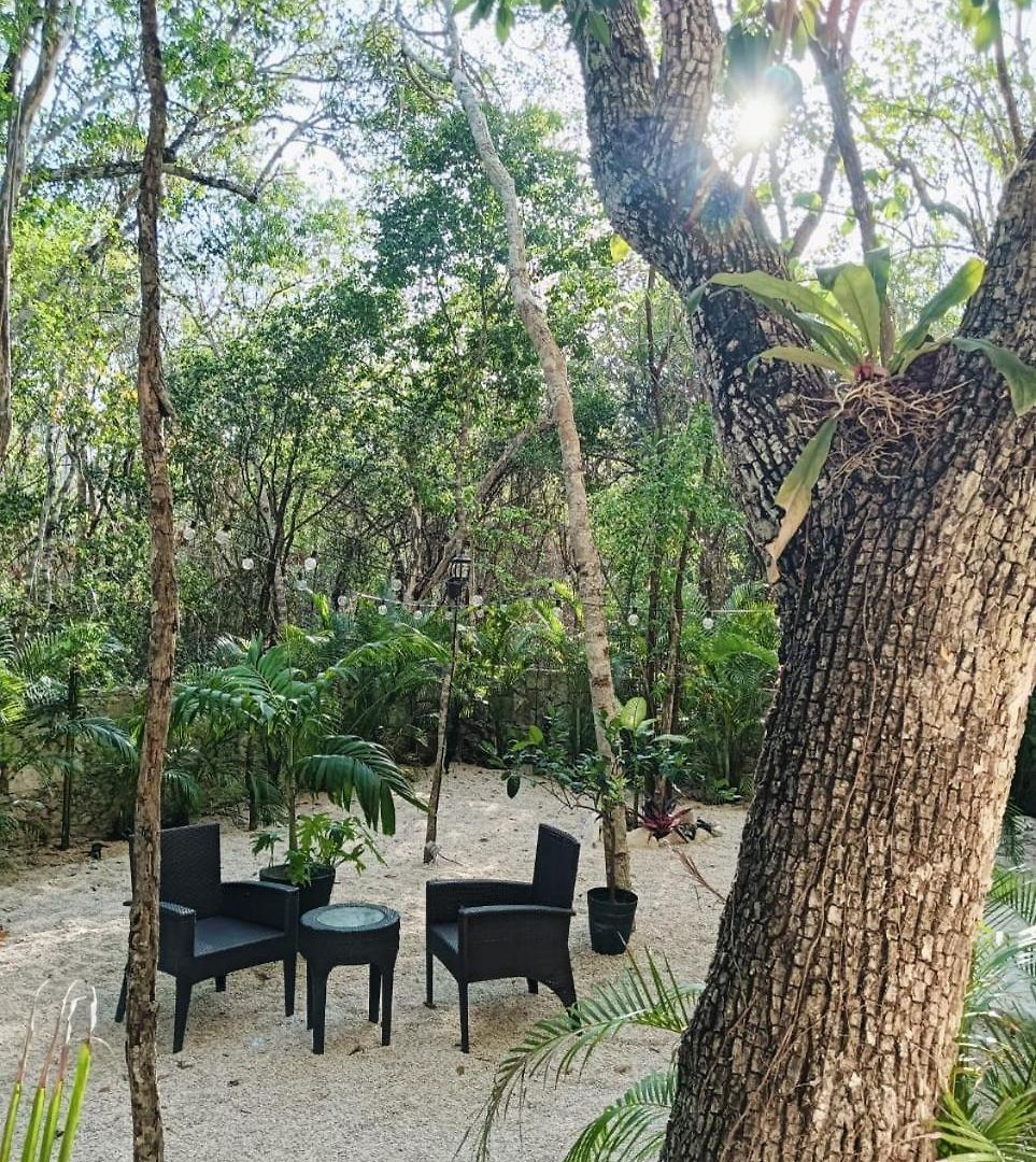 Apartment Agua & Selva Luxury Jungle Loft Tulum