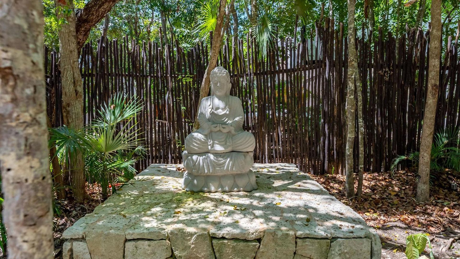 Casa & Chiit - 2 Homes With Different Shared Amenities * Tulum