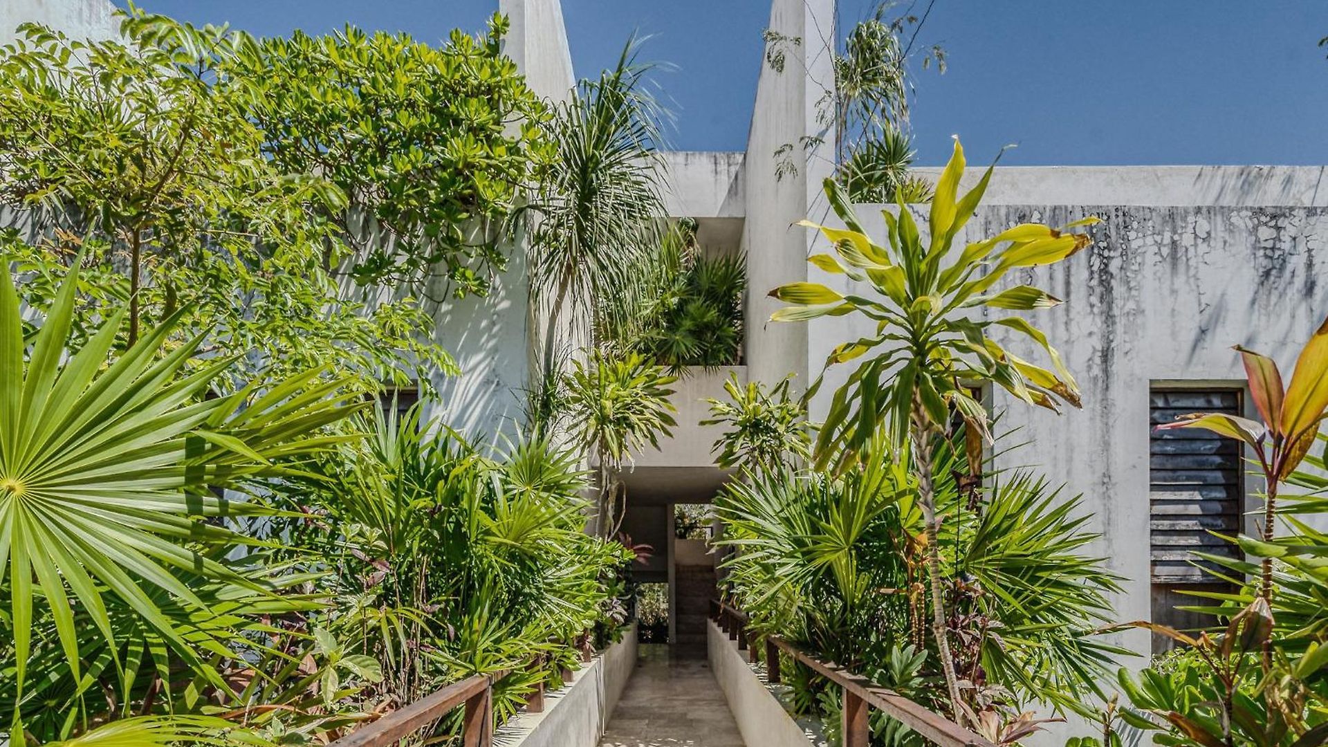 Exclusive 1br In Jungle Private Pool Apartamento Tulum