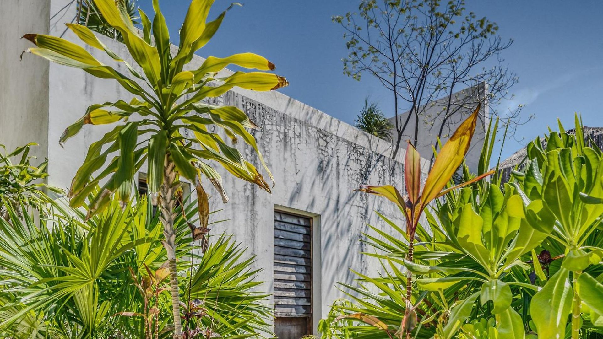 Exclusive 1br In Jungle Private Pool Tulum