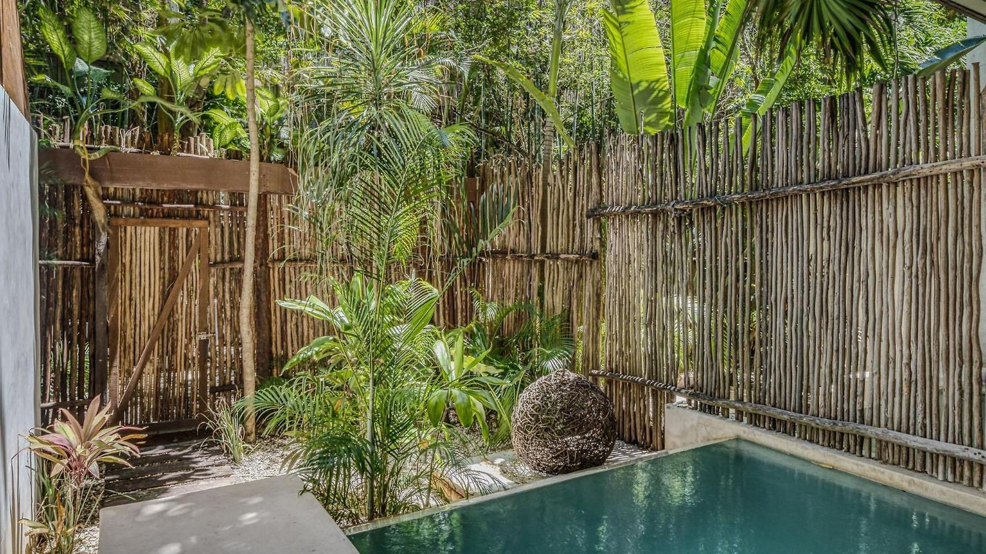 Apartamento Exclusive 1br In Jungle Private Pool