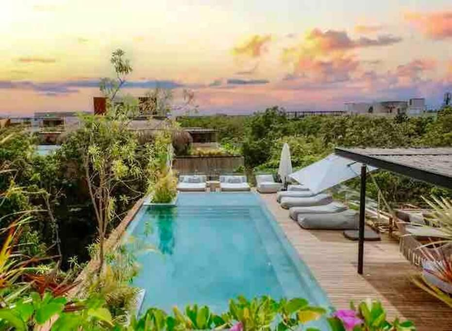 5 Star Luxury Penthouse /private Pool/cenote Pool
