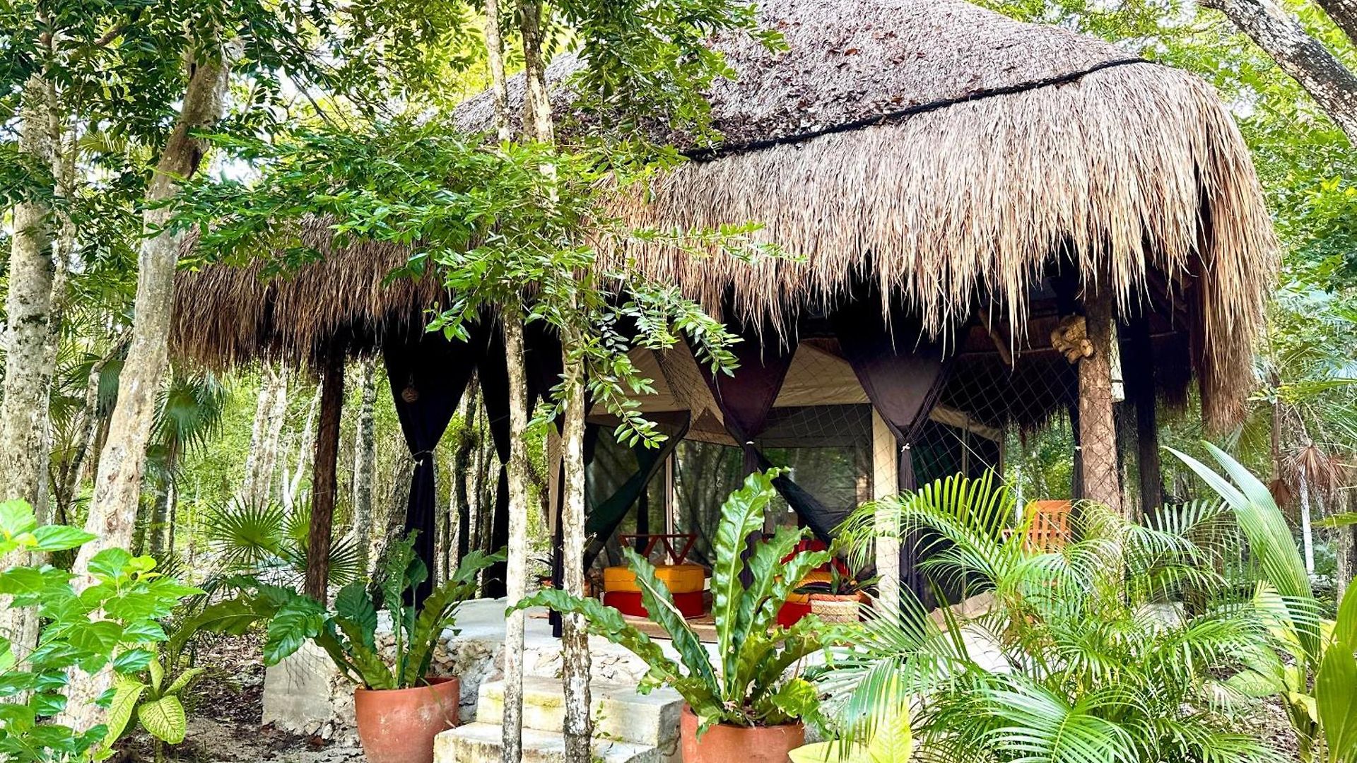 Glamping Bunga Lotus Camping Tulum