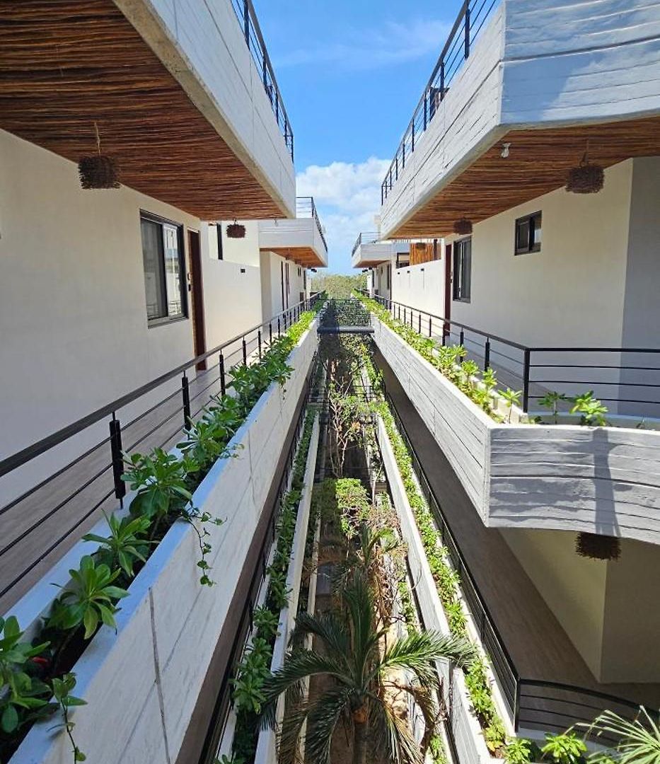 Botanic Departamento Doble En Con Alberca, Ac, Amenidades, Cerca De La Playa Apartment *