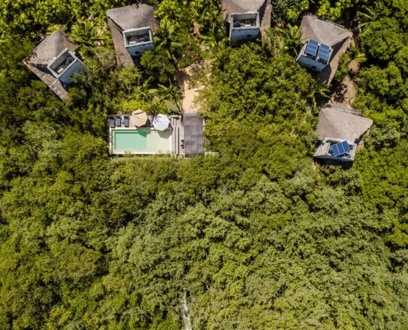 Vida Silvestre * Tulum
