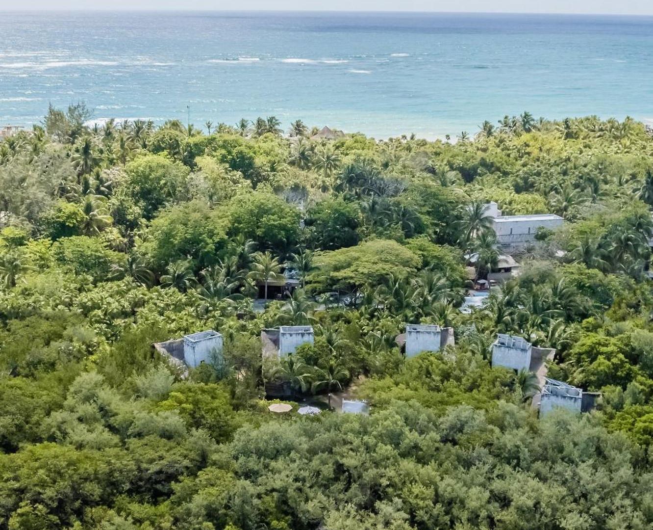 Vida Silvestre Lodge