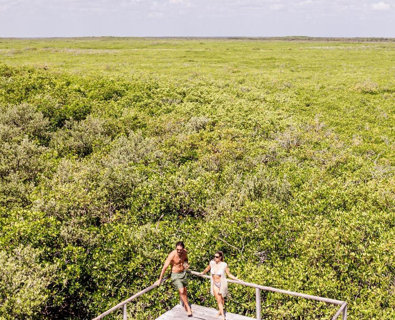 Lodge Vida Silvestre Tulum