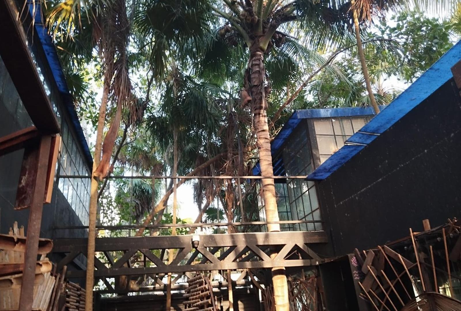 Xxxxxxx * Tulum