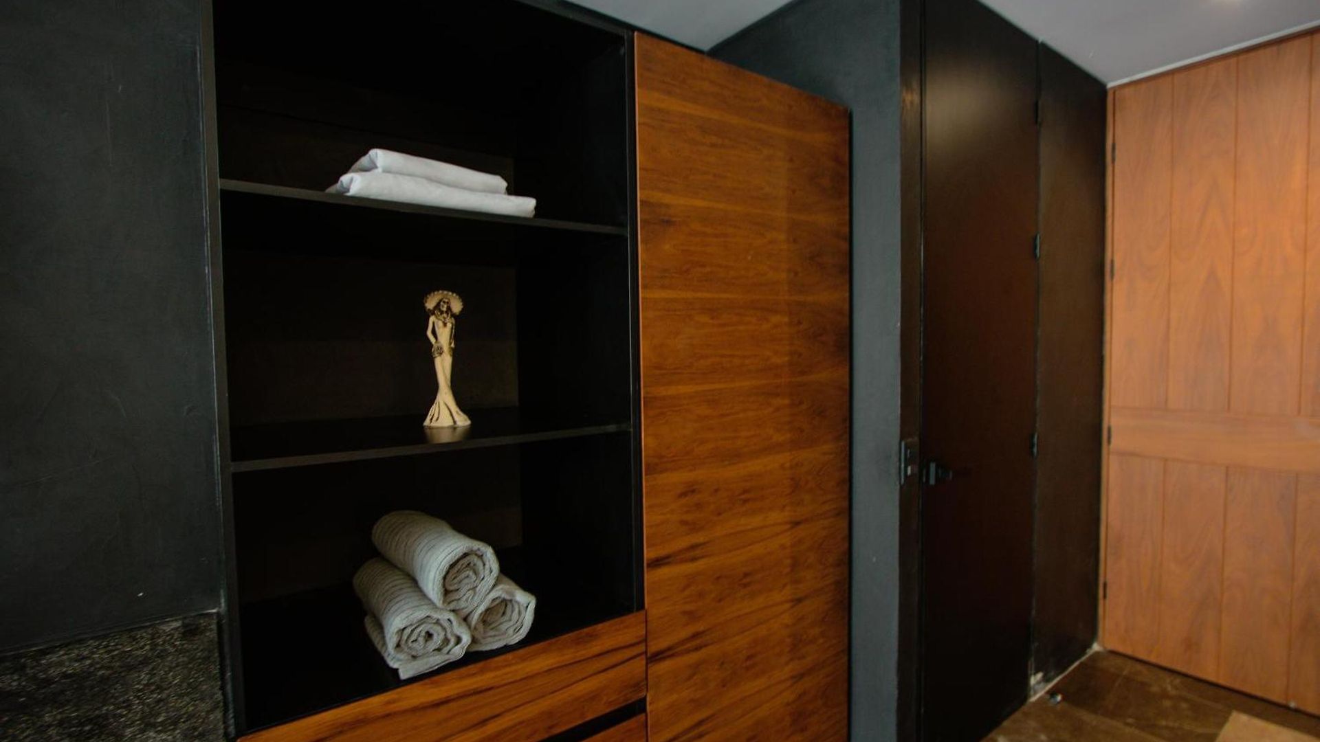 Depto De Lujo Con Plunge Pool Privada Apartment