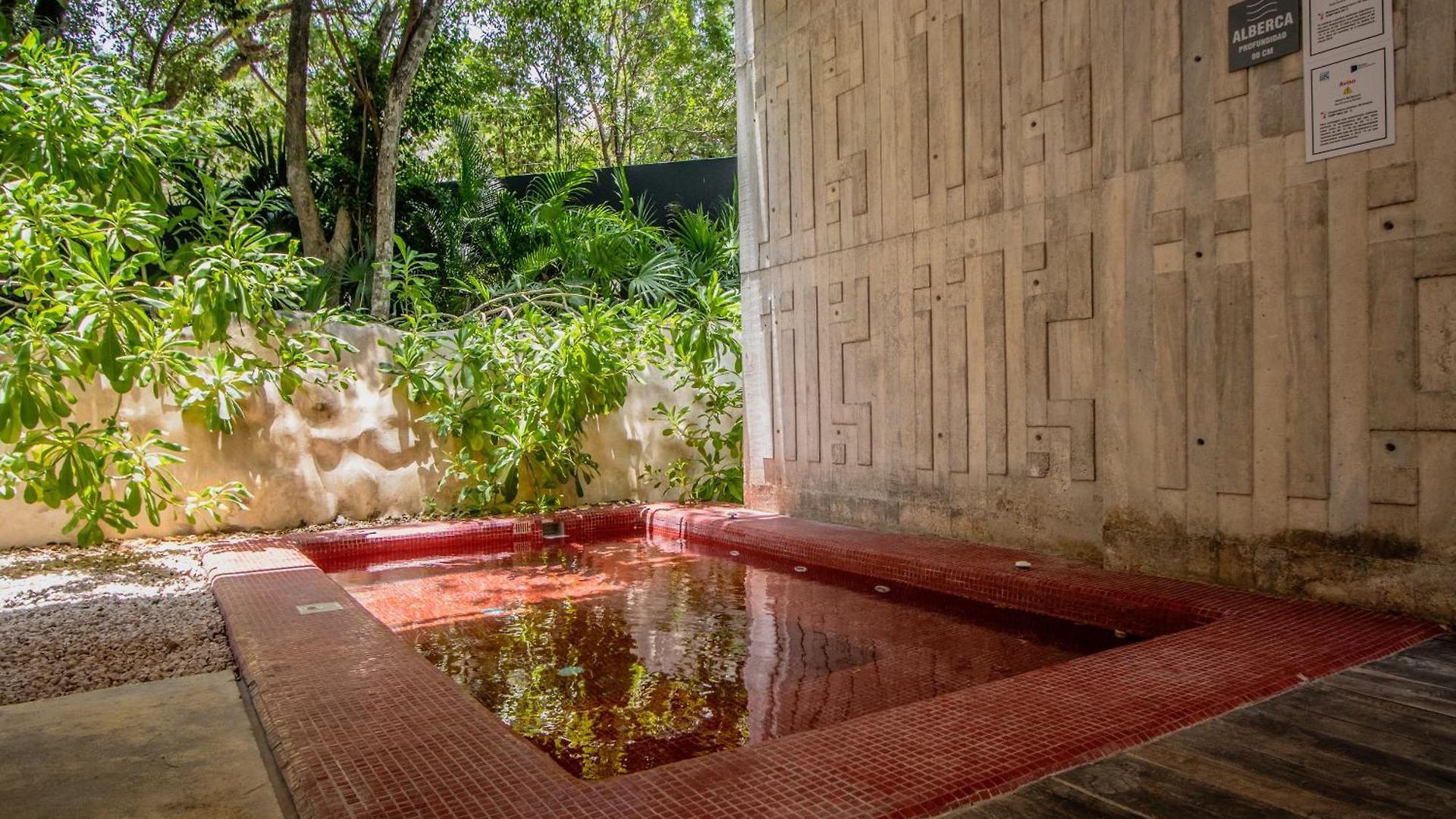 Depto De Lujo Con Plunge Pool Privada Apartment