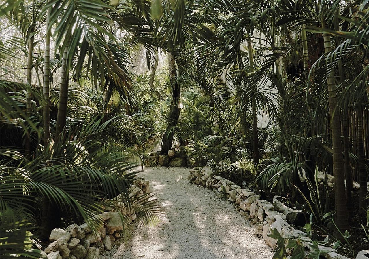 Vida Tulum