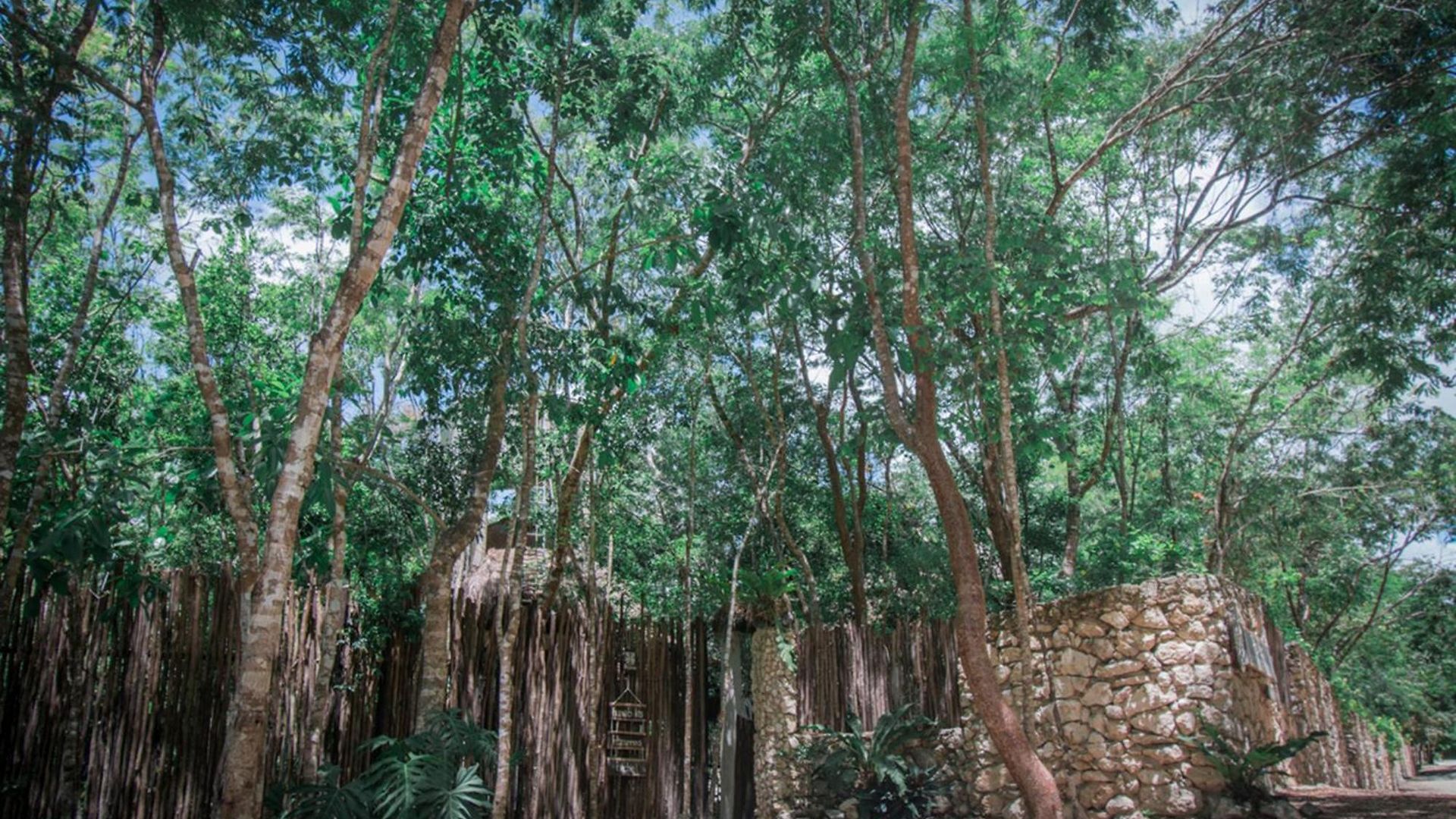 Pepem Holistic Experience - Peaceful Retreat Near (adults Only) Villa