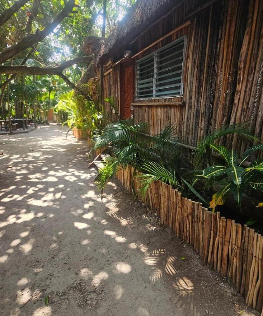 Eco.banitas Tulum