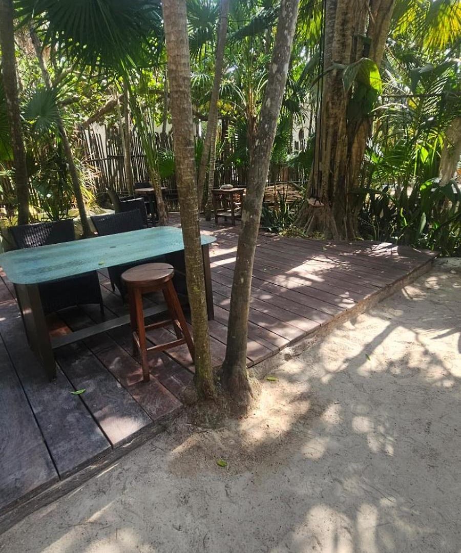Eco.banitas Tulum