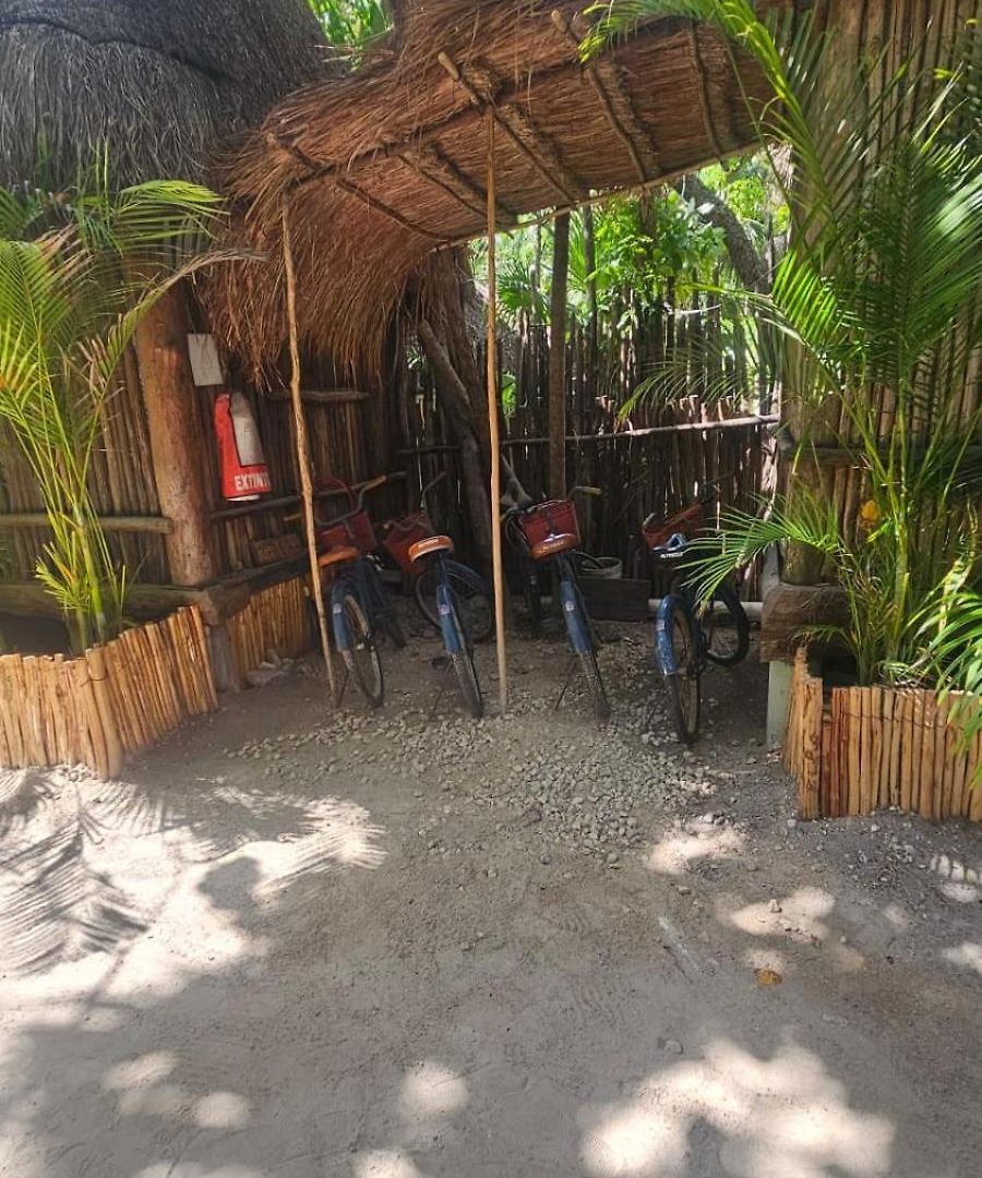 Eco.banitas Tulum