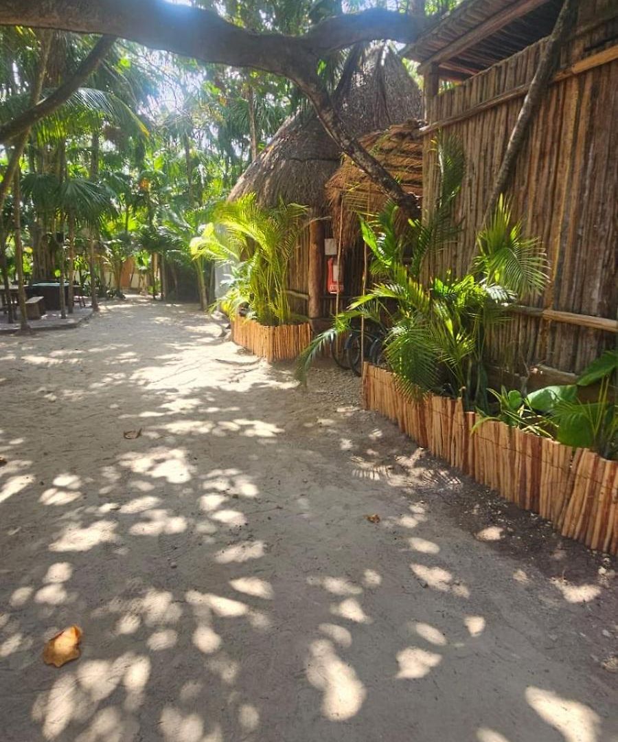 Eco.banitas 3*
