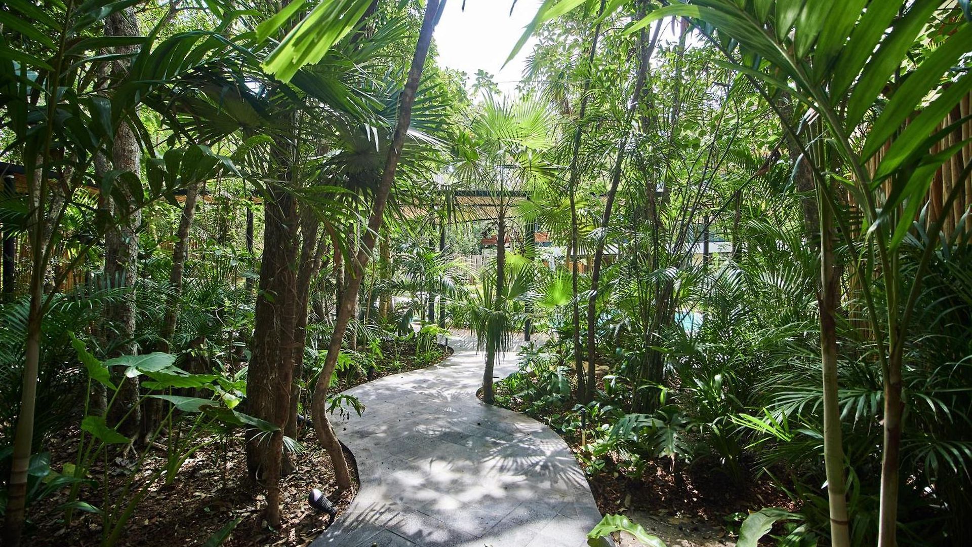 5 Star New Luxury With Cenote And Infinity Pool * Tulum