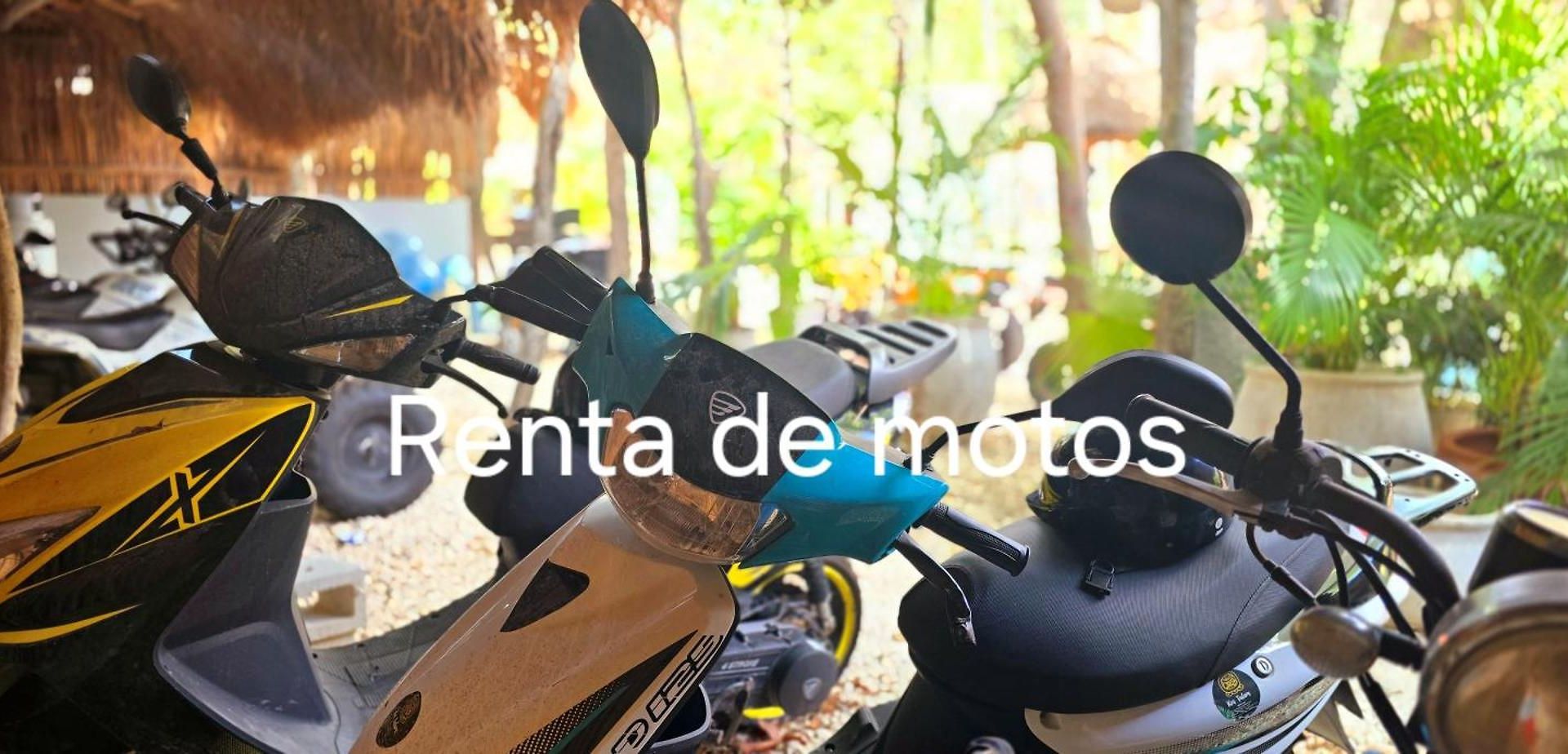 Kin Jungle Deluxe Pensión Tulum