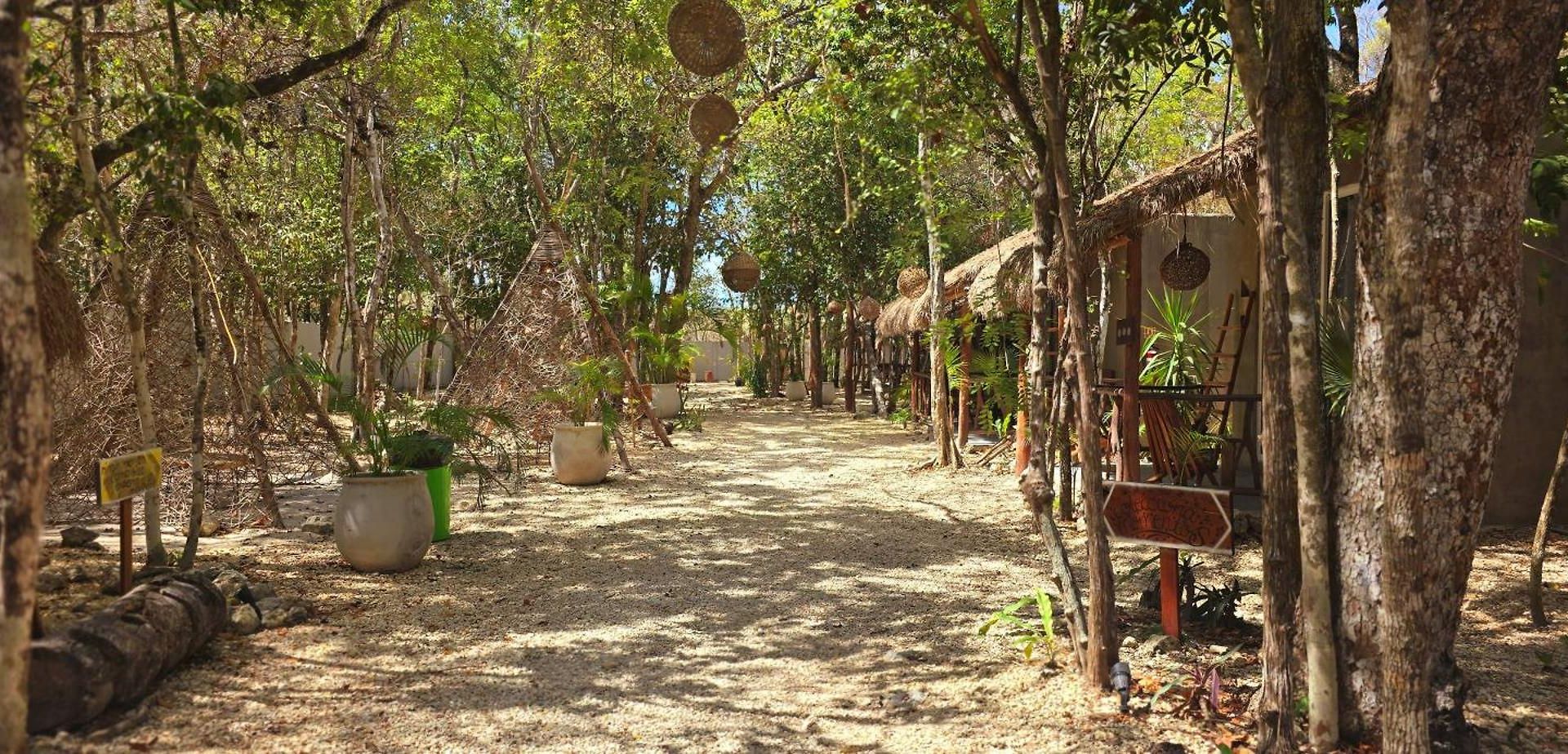 Kin Jungle Deluxe Pensión Tulum