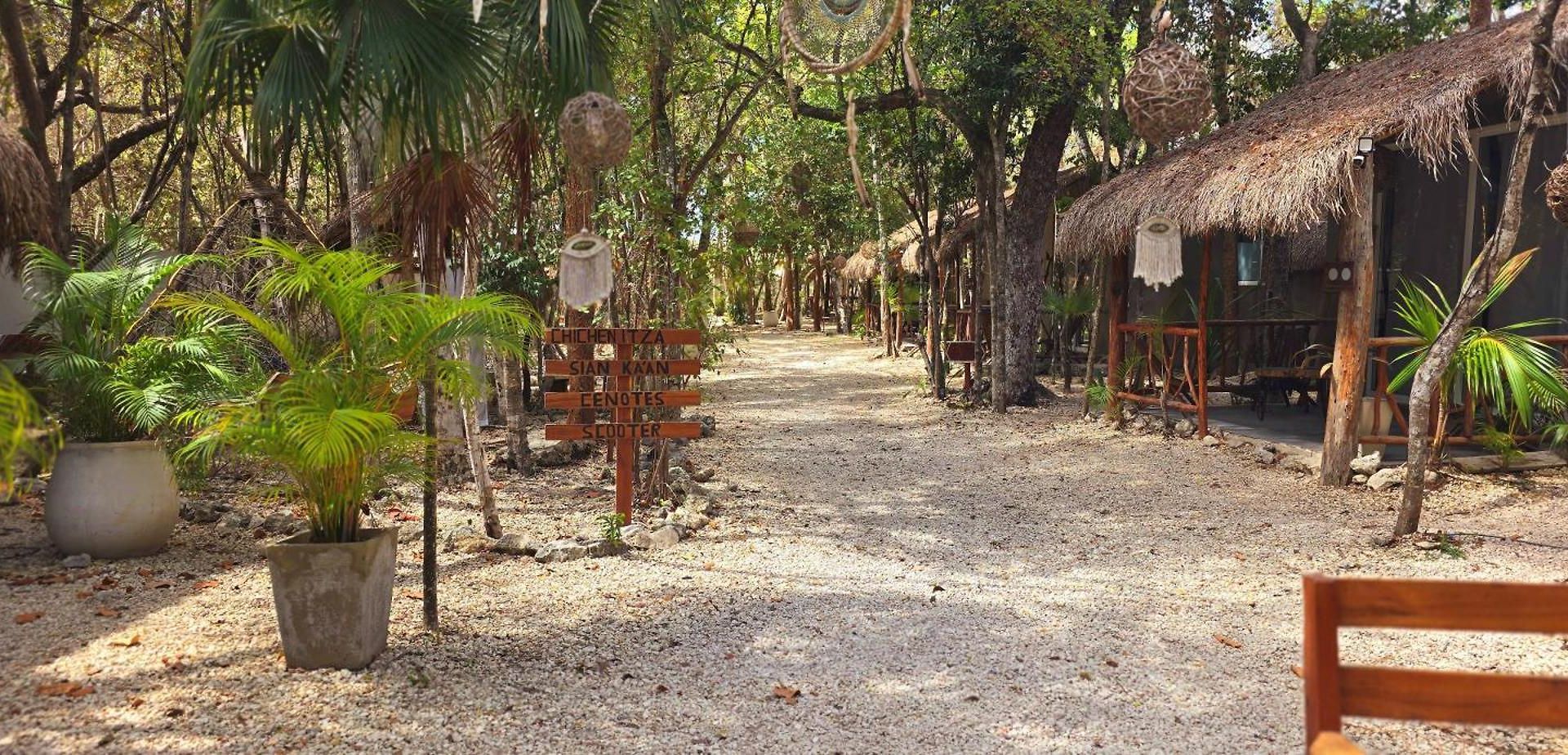 Kin Jungle Deluxe 4*