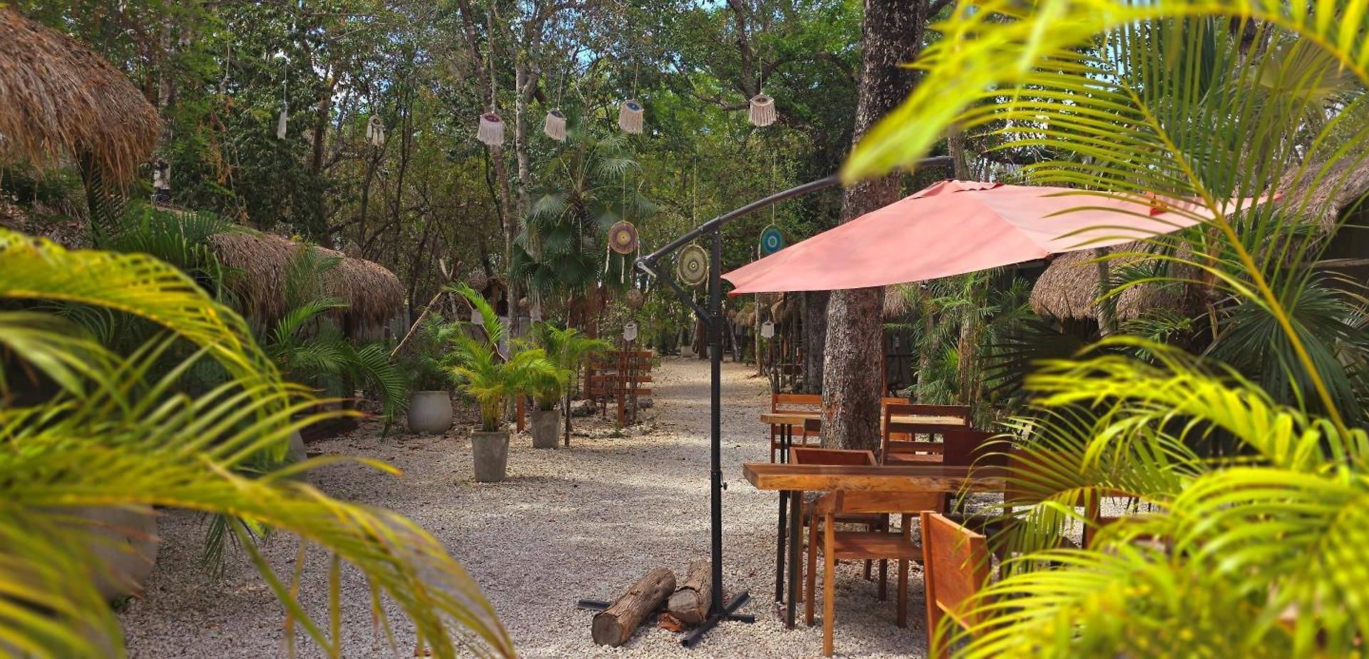 Pensión Kin Jungle Deluxe 4*