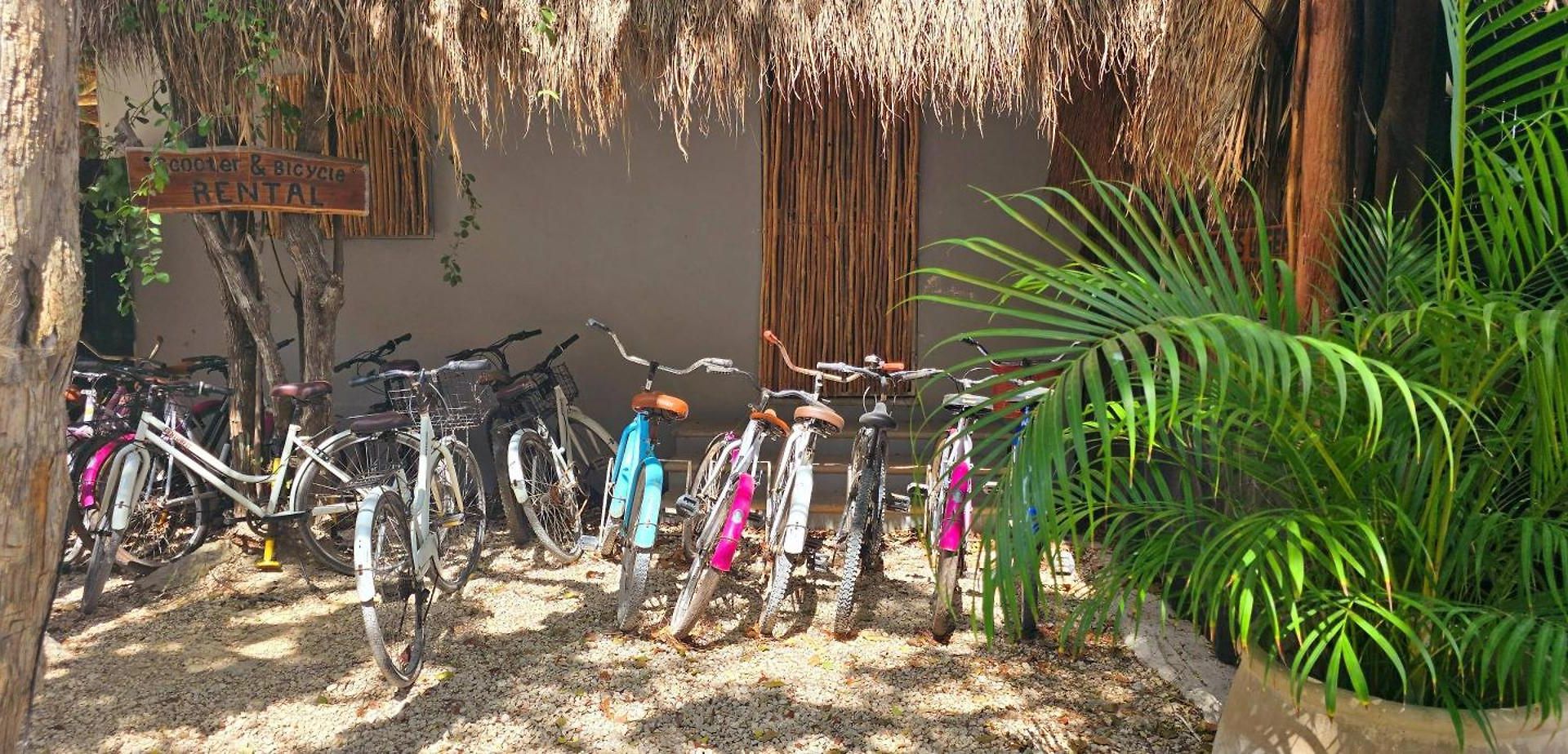 Kin Jungle Deluxe 4* Tulum