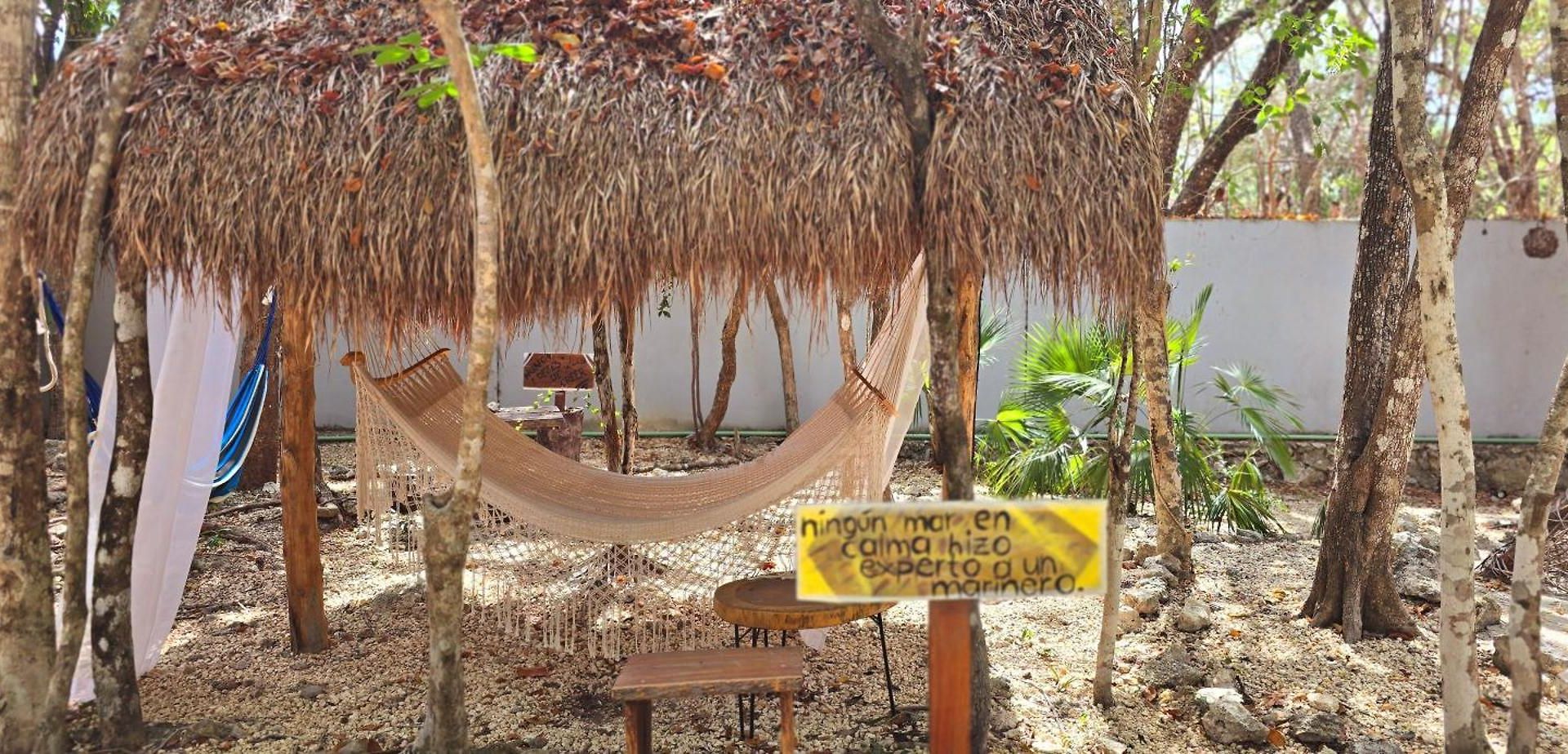 Kin Jungle Deluxe