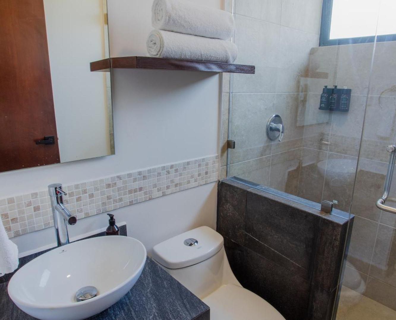 Penthouse Whit Privare Roof *