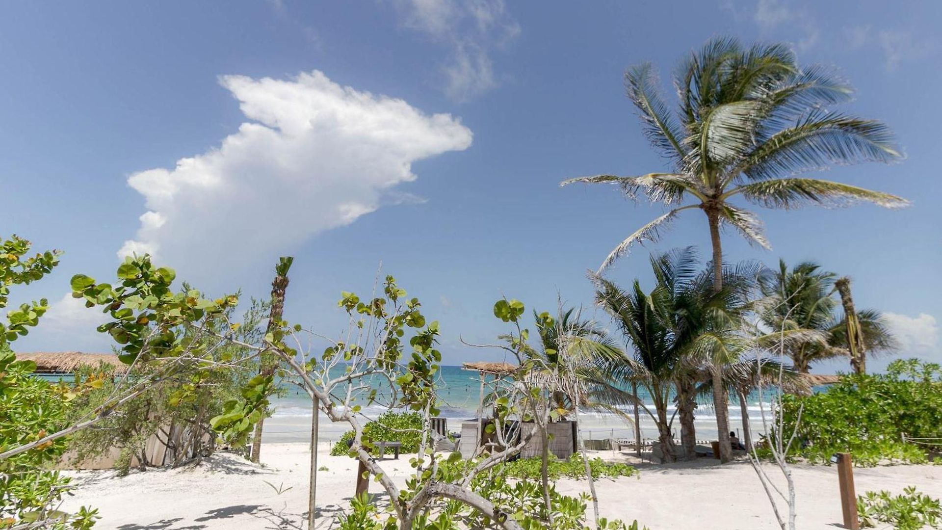 Panamera 4* Tulum