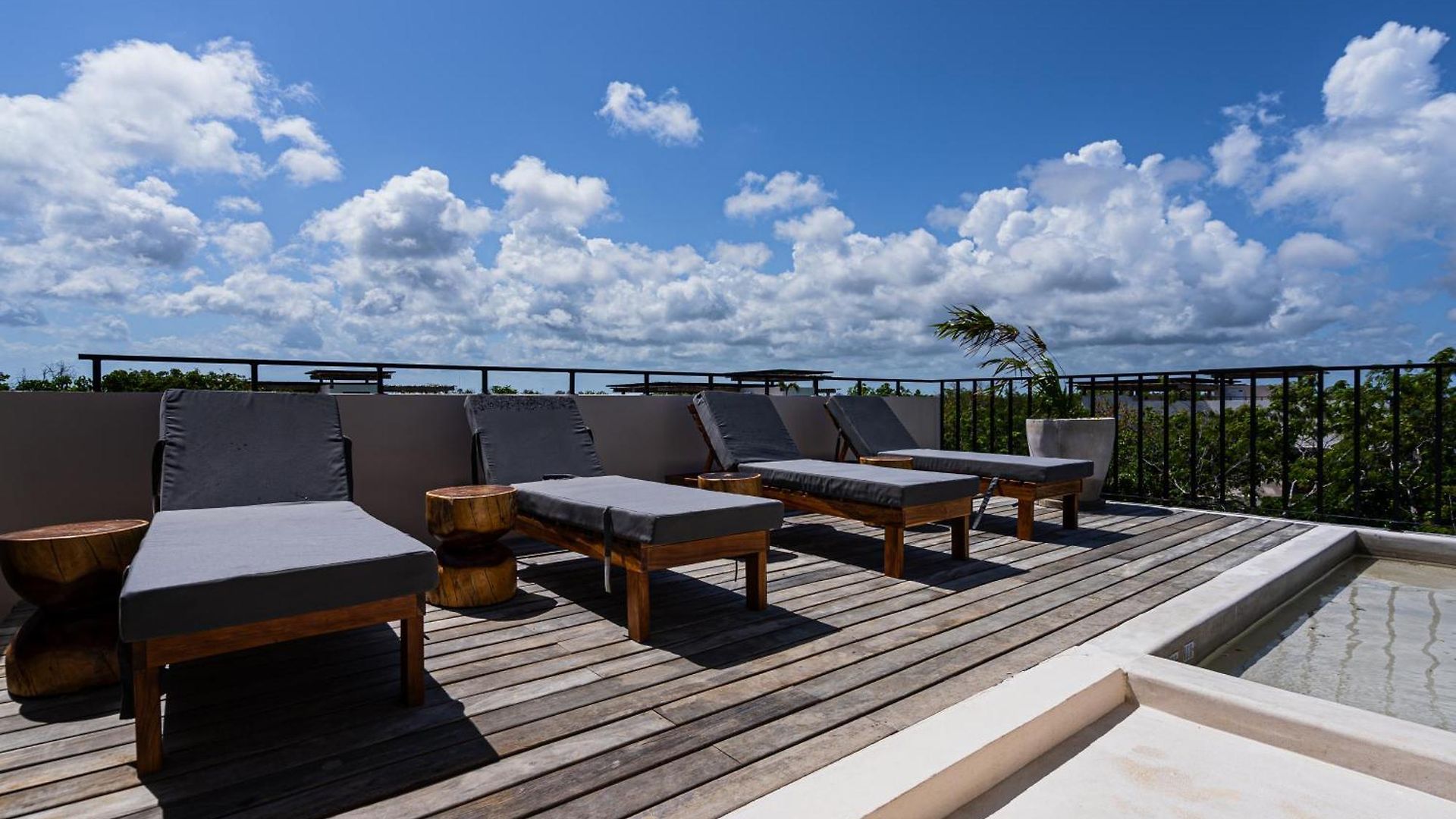 Apartamento Penthouse With Private Jungle, Pool, Downtown