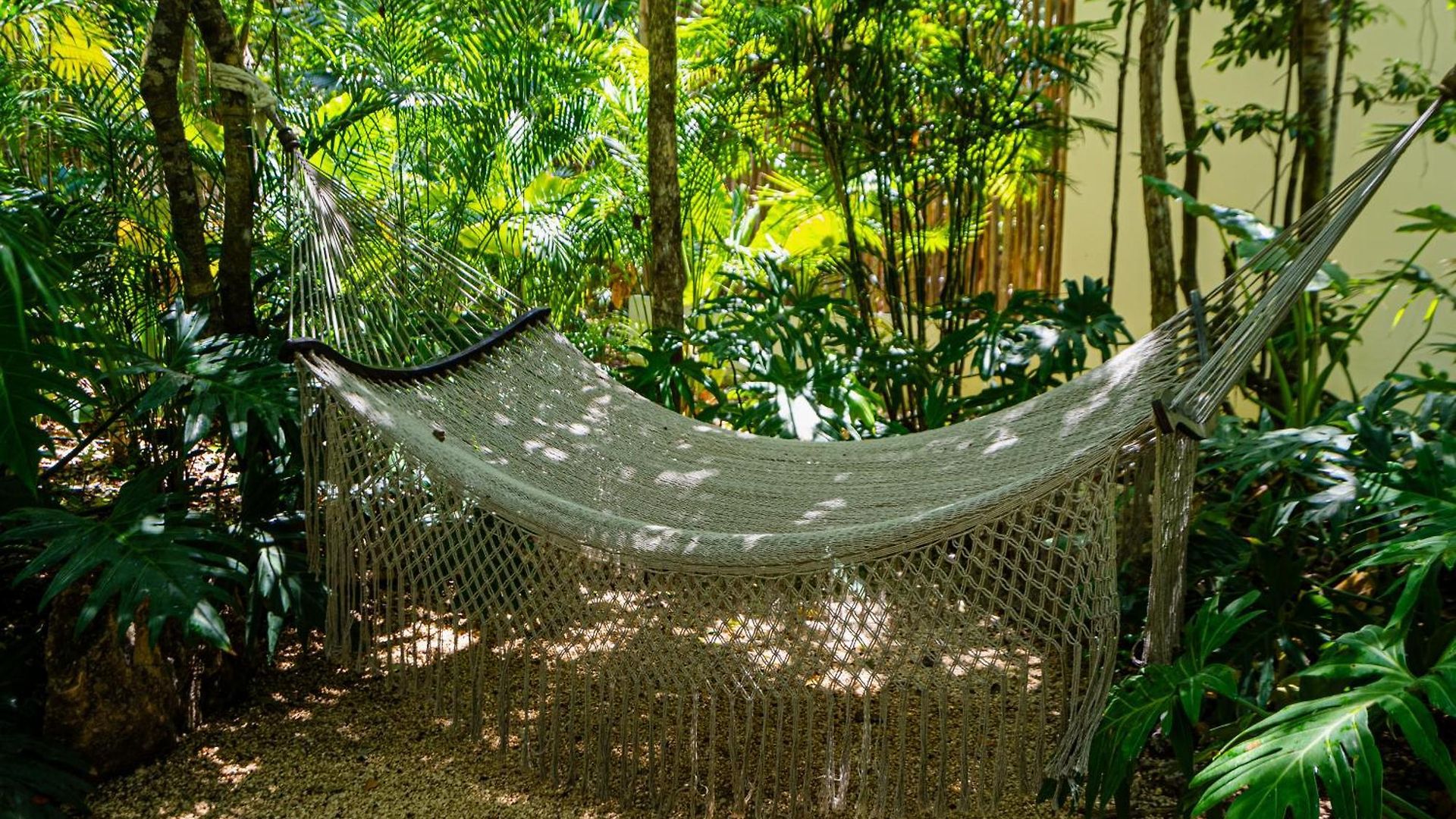 Penthouse With Private Jungle, Pool, Downtown Apartamento Tulum