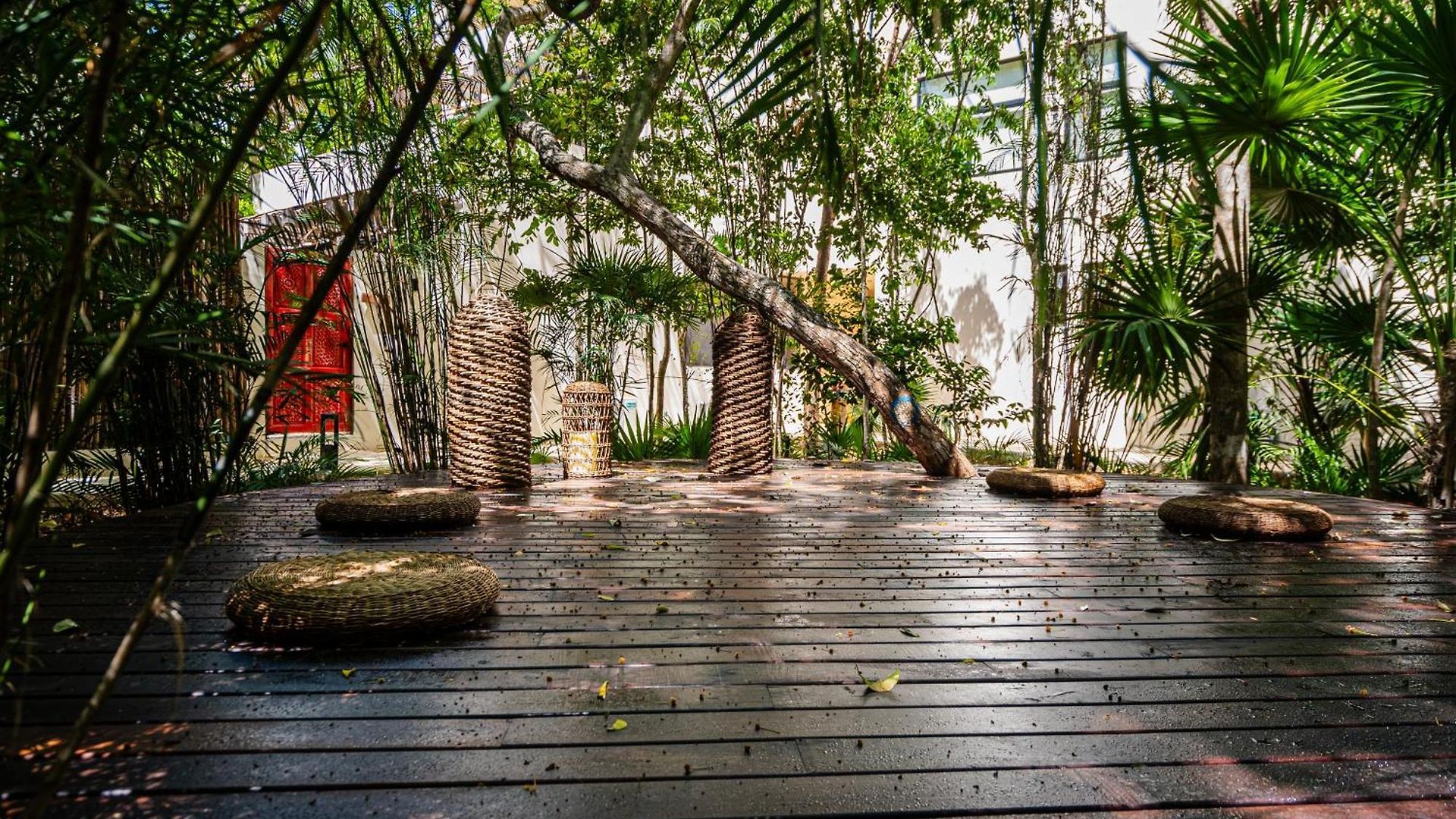 Apartamento Penthouse With Private Jungle, Pool, Downtown