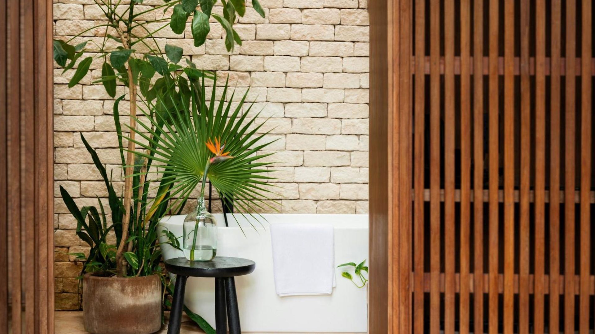 Jungle Keva & Venue Villa Tulum