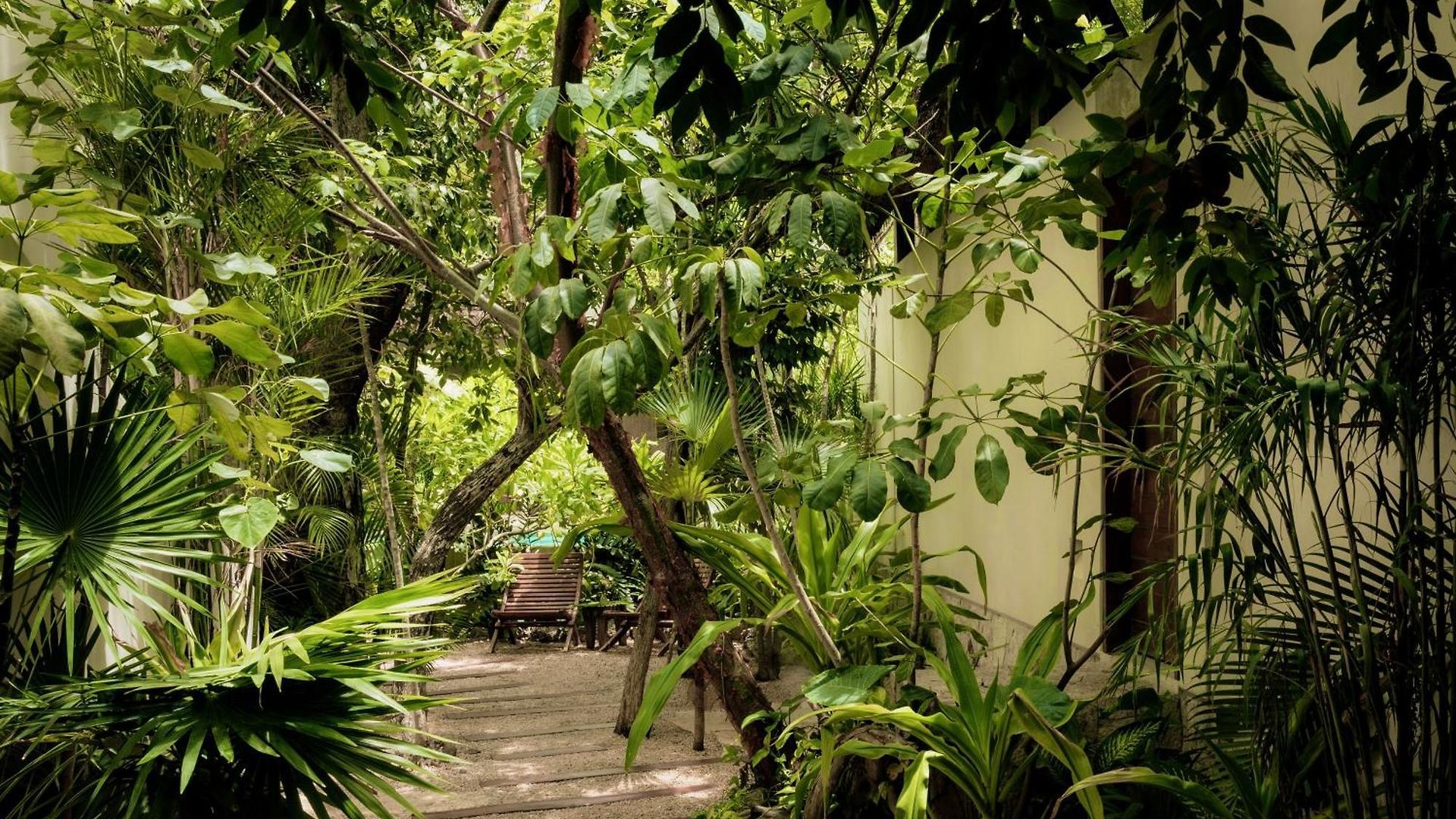 Villa Jungle Keva & Venue Tulum