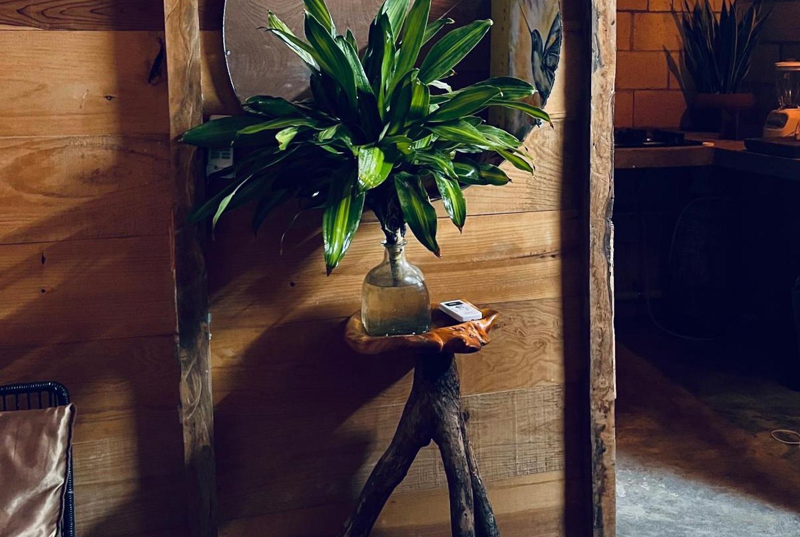 Aventura * Tulum