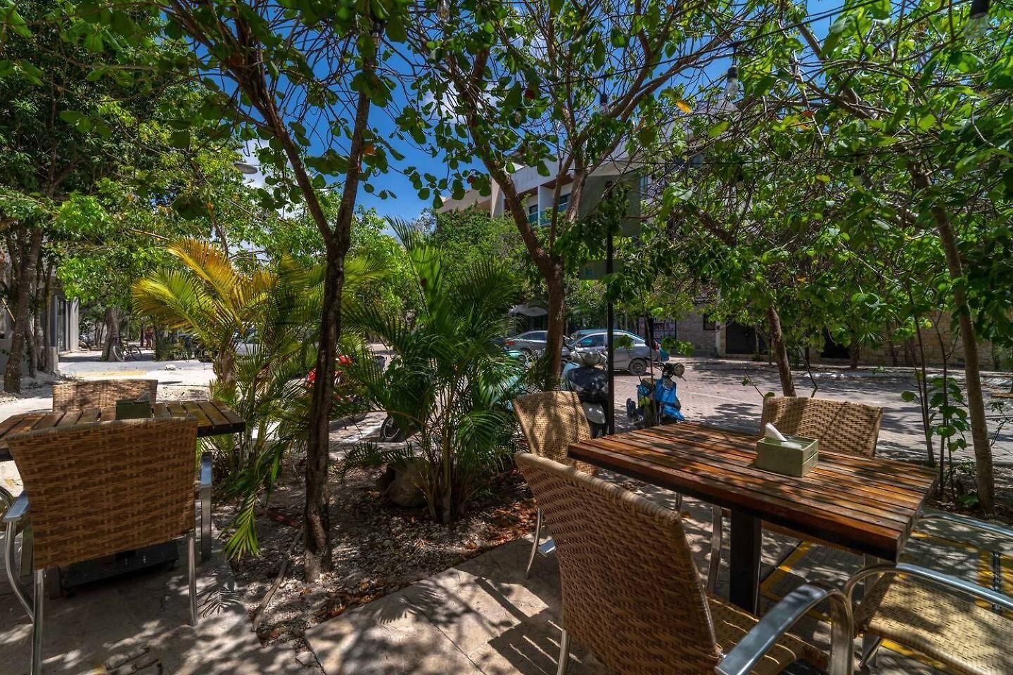 King With Private Balcony, Rooftop Pool, Gym Tulum