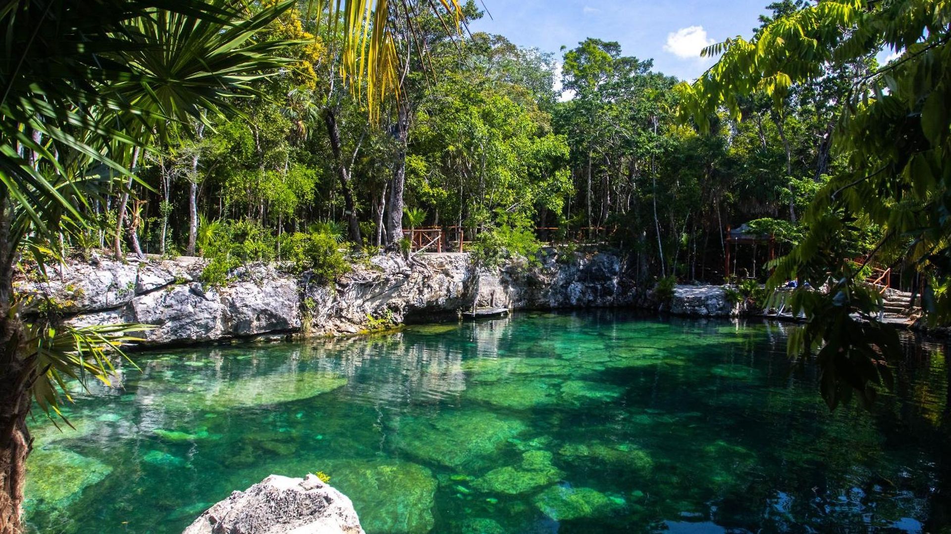 Casa Tortuga - Cenotes Park Inclusive Tulum