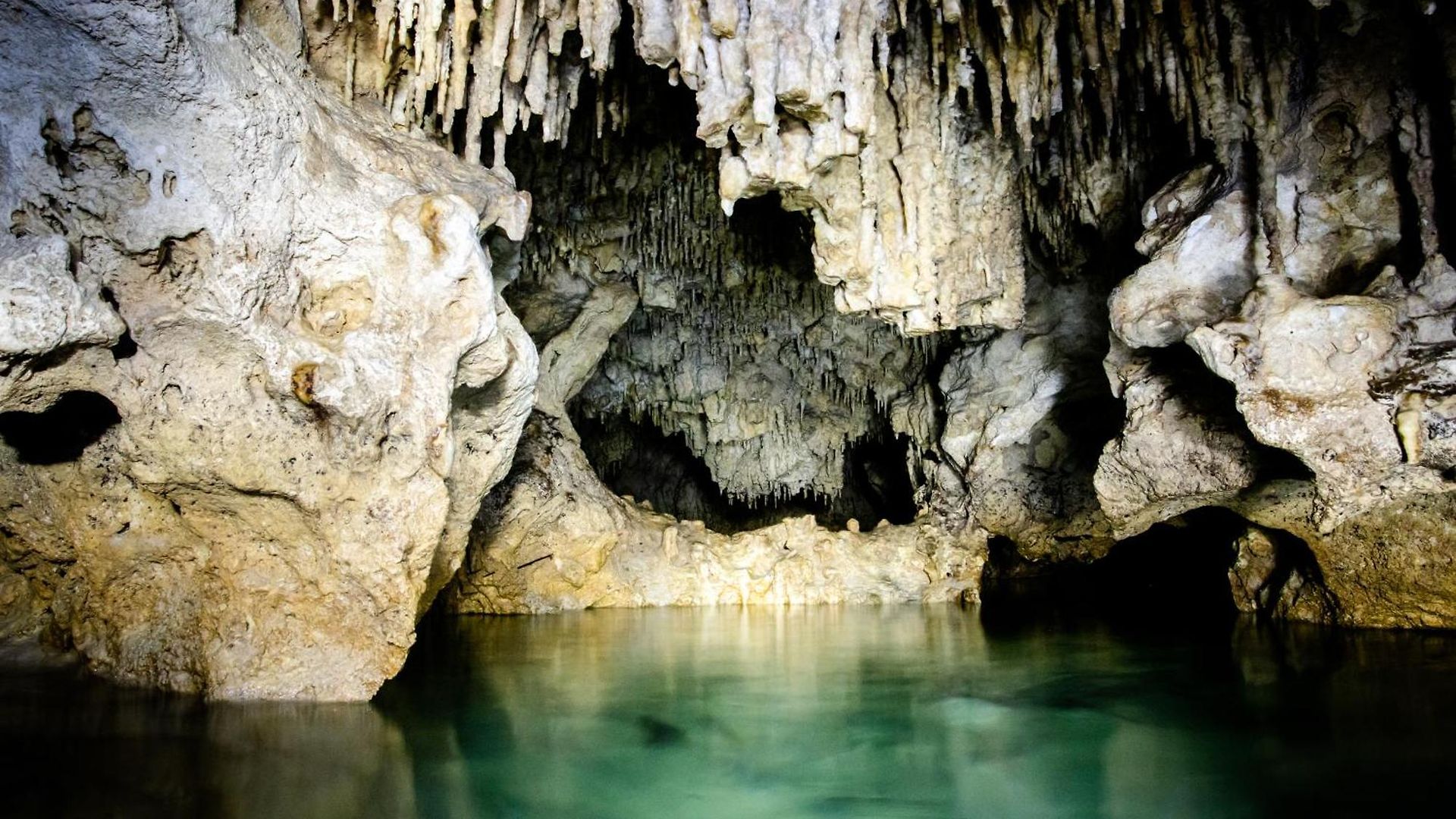 Hotel Casa Tortuga - Cenotes Park Inclusive