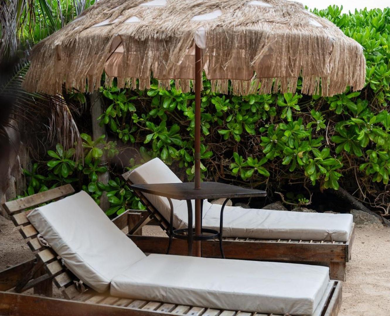 Tropicalito *