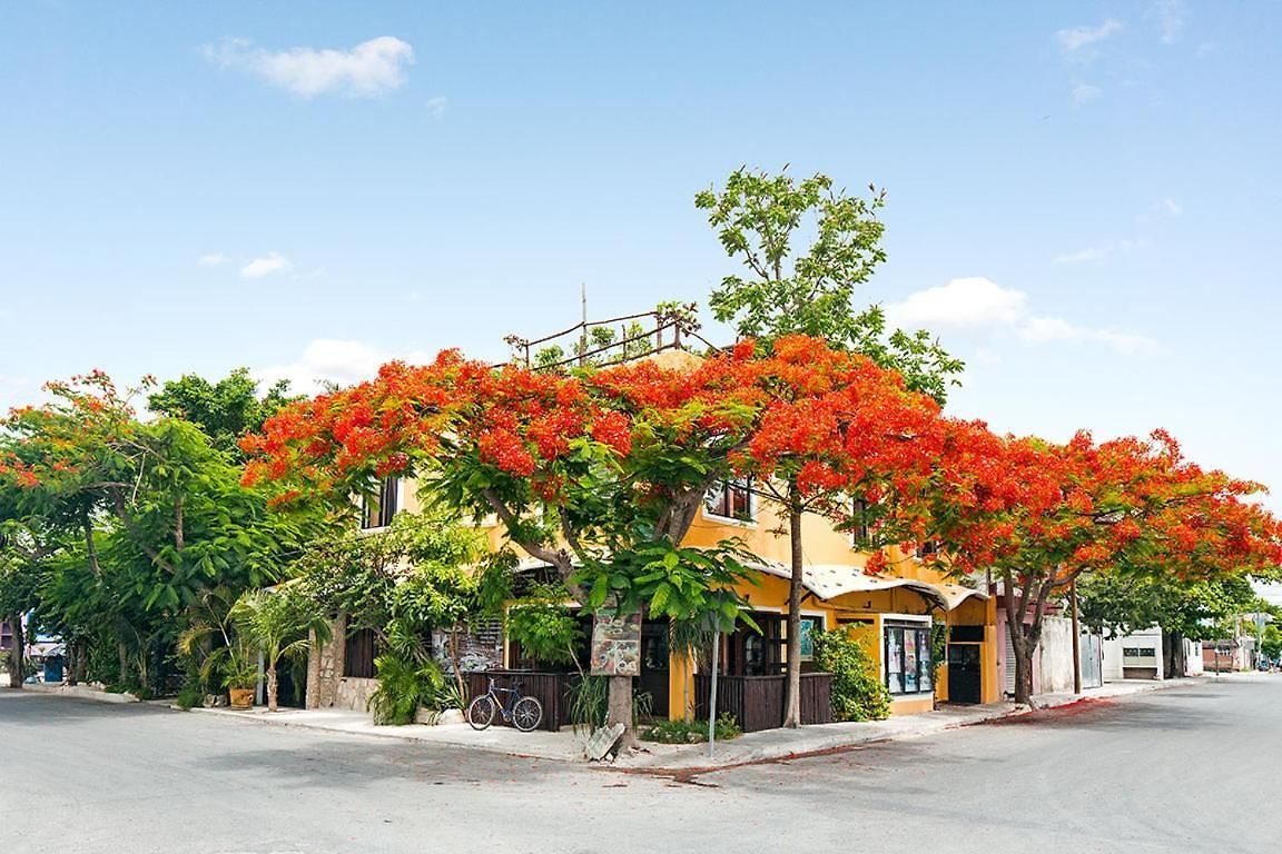 Downtown 3* Tulum