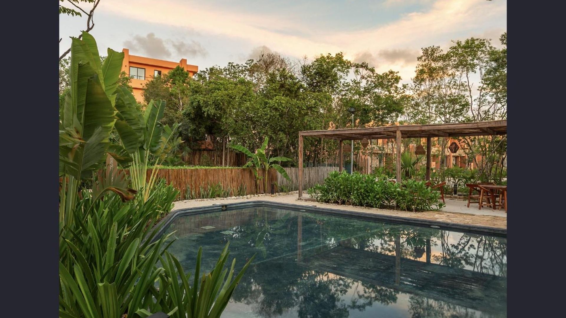 Estudio Completo En La Selva * Tulum