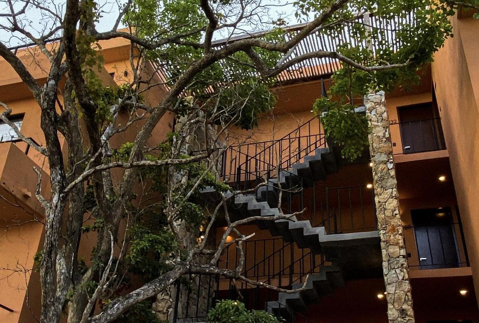 Estudio Completo En La Selva *