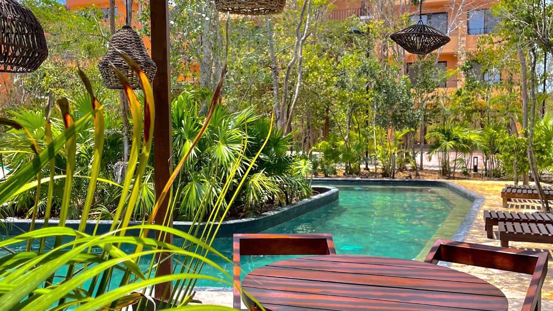 Estudio Completo En La Selva *