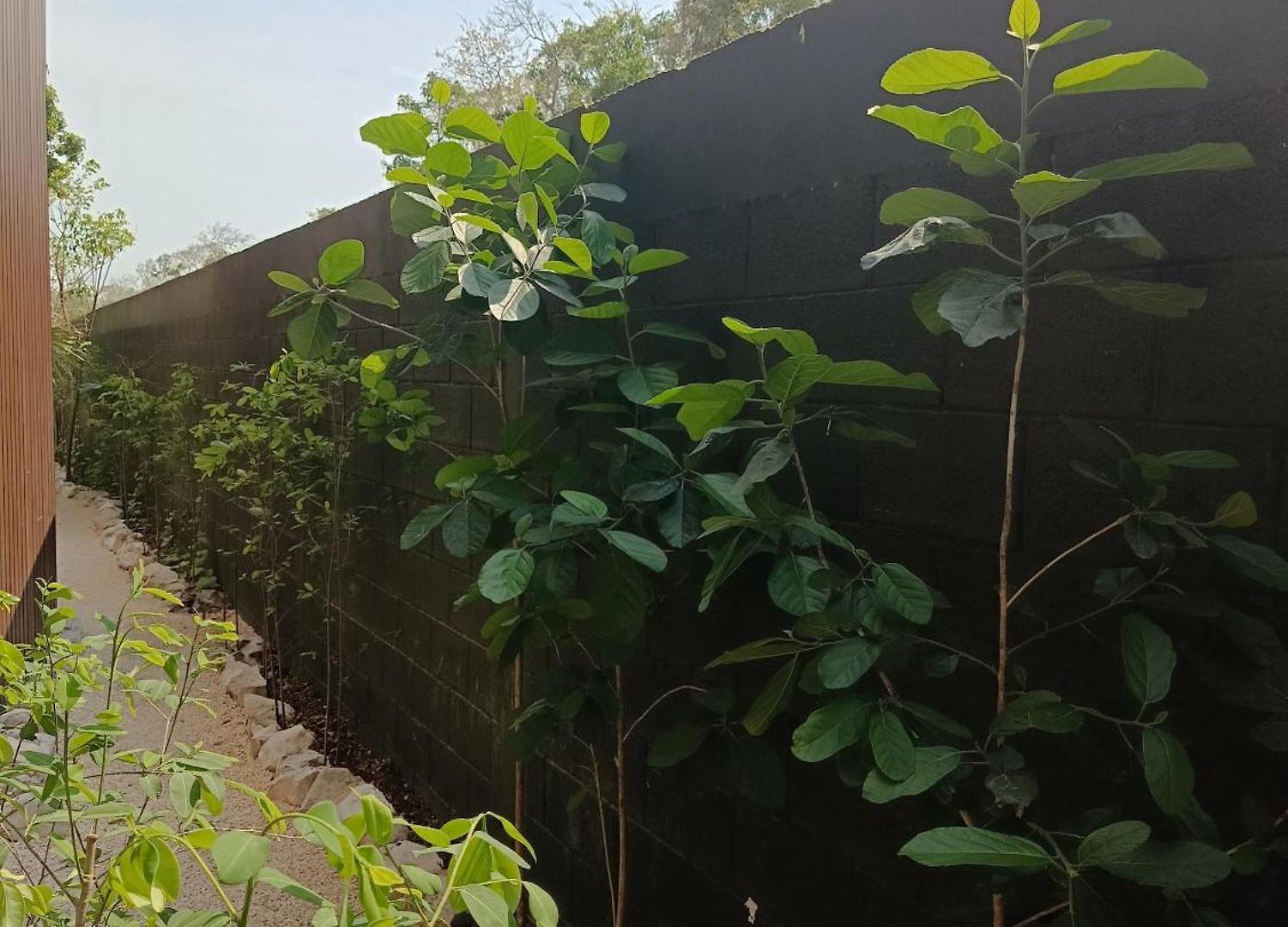 Departamento De 1 Hab Con Balcon En Zona Hotelera Ad * Tulum