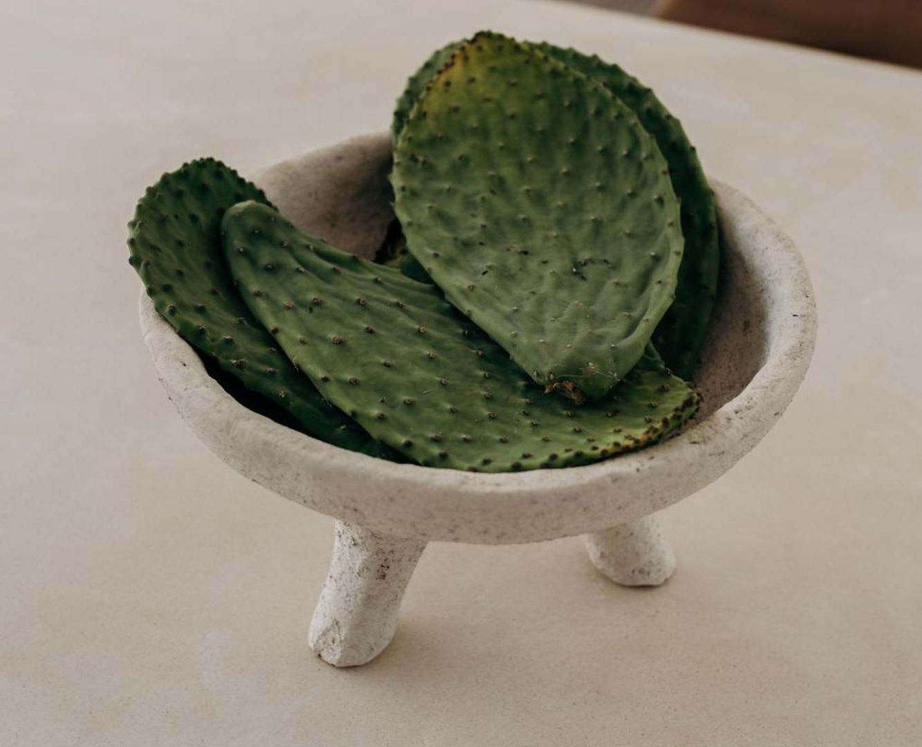 Lev - Celebrated Architectural Designer Villa Tulum